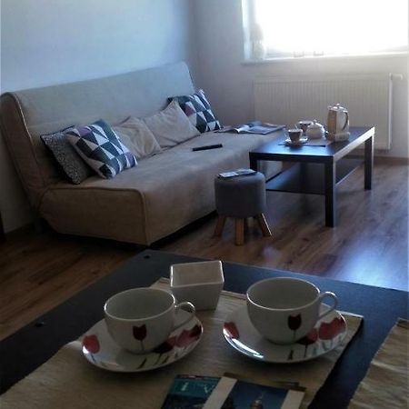 Sympatyczny Apartament Apartment Gdansk Bagian luar foto